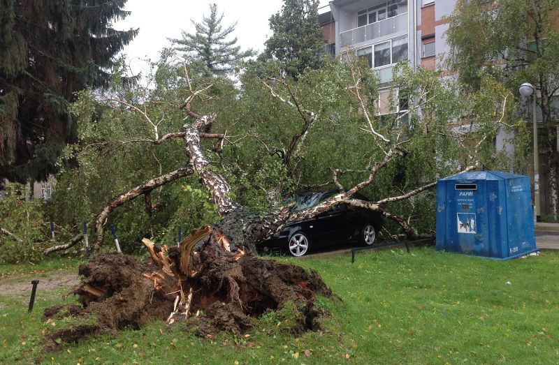 Zagreb - Oluja koja je pogodila grad Zagreb iščupala je nekoliko stabala i oštetila nekoliko automob