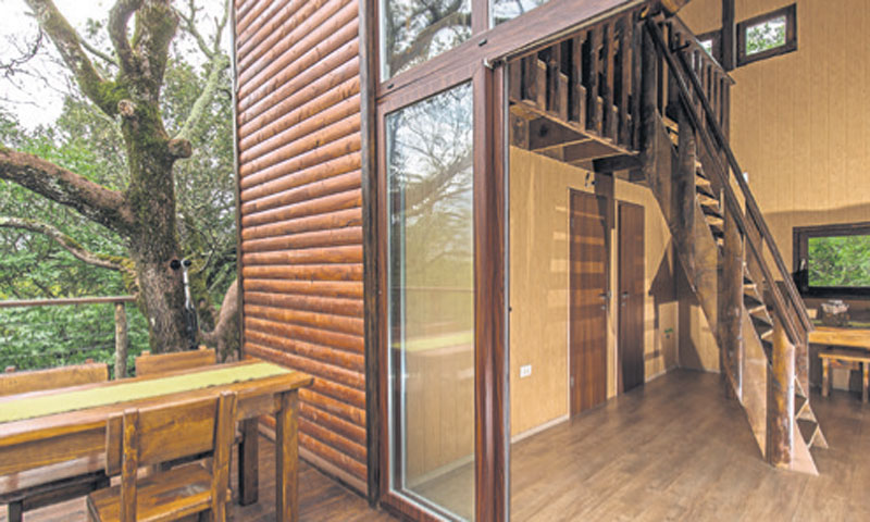 Foto/Grgo Jelavić/PIXSELL