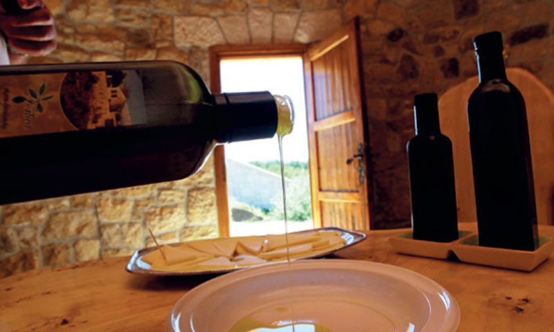 Željko Mršić/PIXSELL