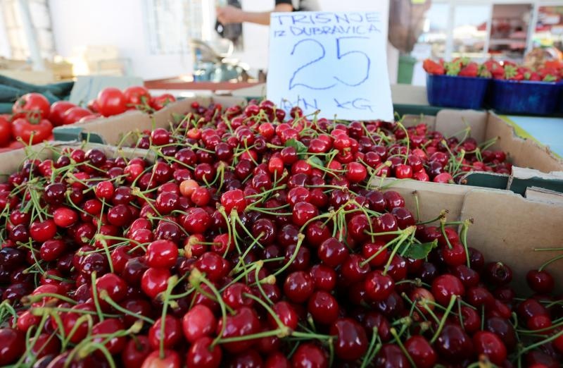 Foto: Dusko Jaramaz/PIXSELL