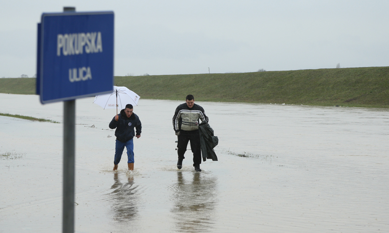 Petrovina kod Velike Gorice – Željko Lukunić/PIXSELL