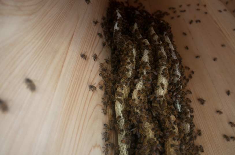 Fotografije preuzete s portala www.croenergo.eu