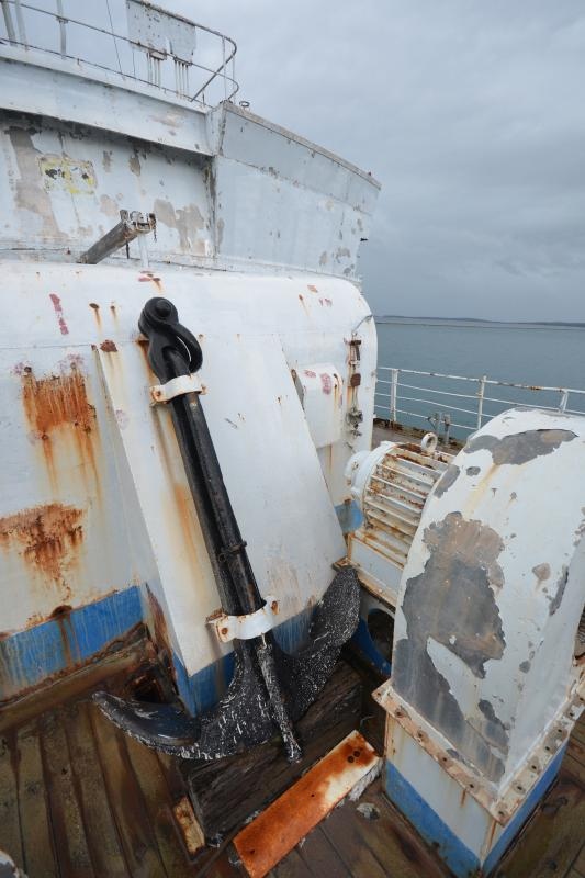 Foto: Duško Marušić / Pixsell