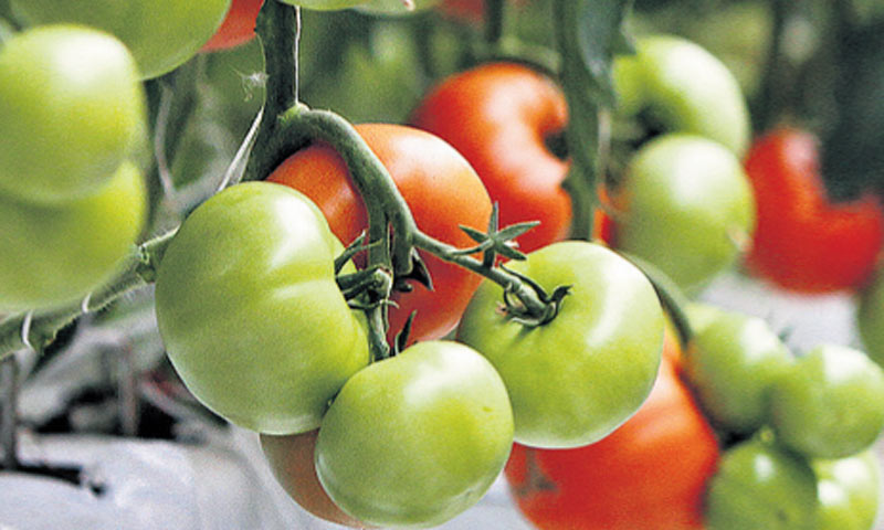 Zahvaljujući kreditu HBOR-a od 2,1 milijun kuna valpovačka obitelj zatvorila ulaganje od 3,2 mil. kn