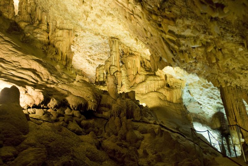 Splilja mramornica (Izvor: TZG Umag)