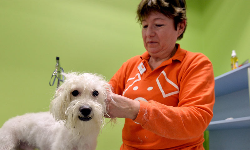 Nudi se i usluga šišanja ljubimaca