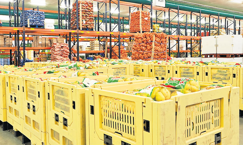 Danas gotovo svi veliki supermarketi imaju bogato opremljene voćarnice sa sezonskim i egzotičnim voć