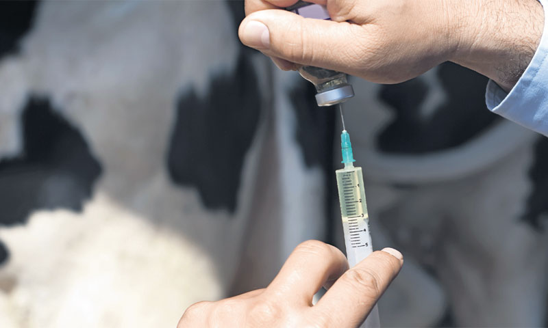 Postignuta cijena za Generu 13 je puta veća od iznosa EBITDA-e/FOTOLIA