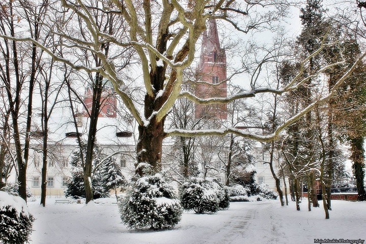 Strossmayerov perivoj Đakovo, Maja Muškić