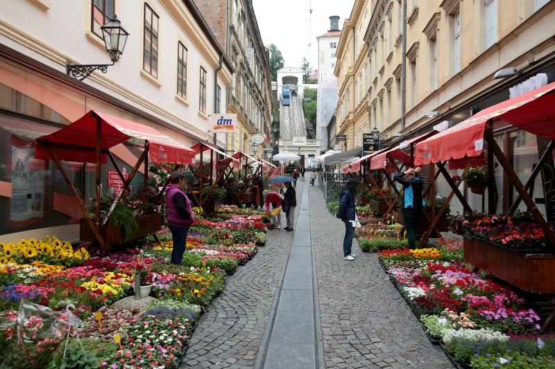 Foto: Patrik Macek / Pixsell