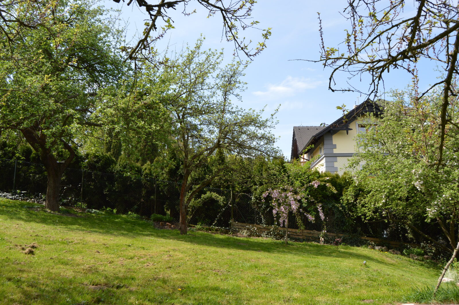 Arhivska fotografija: Thinkstock