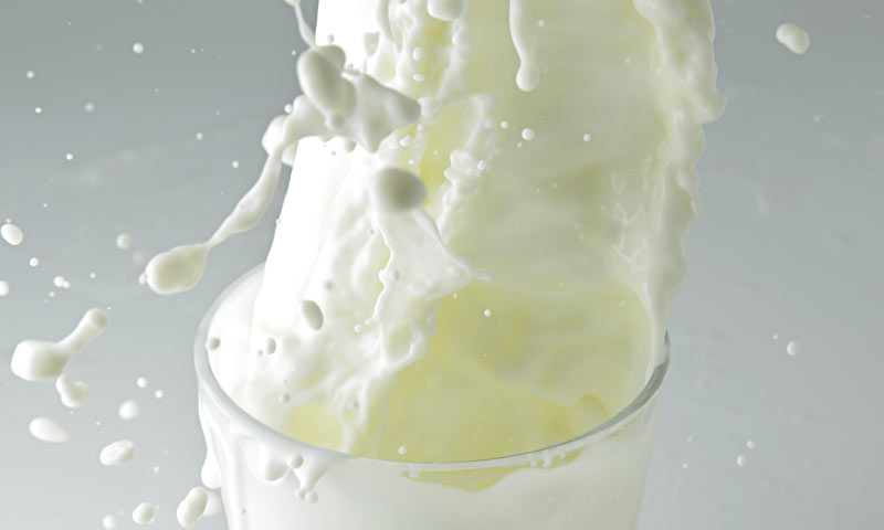 Zbog nižeg otkupa i aflatoksina proizvođači mijenjaju računicu