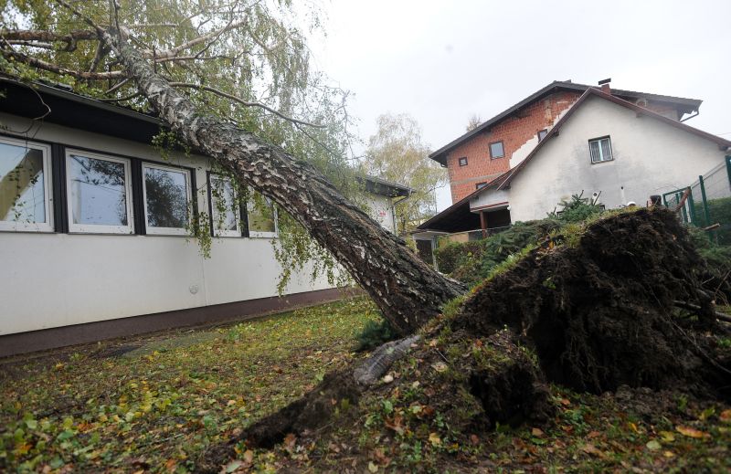 Zagreb - Pad stabla na krov dječjeg vrtića Jabuka u Resniku. Photo: Daniel Kasap/PIXSELL