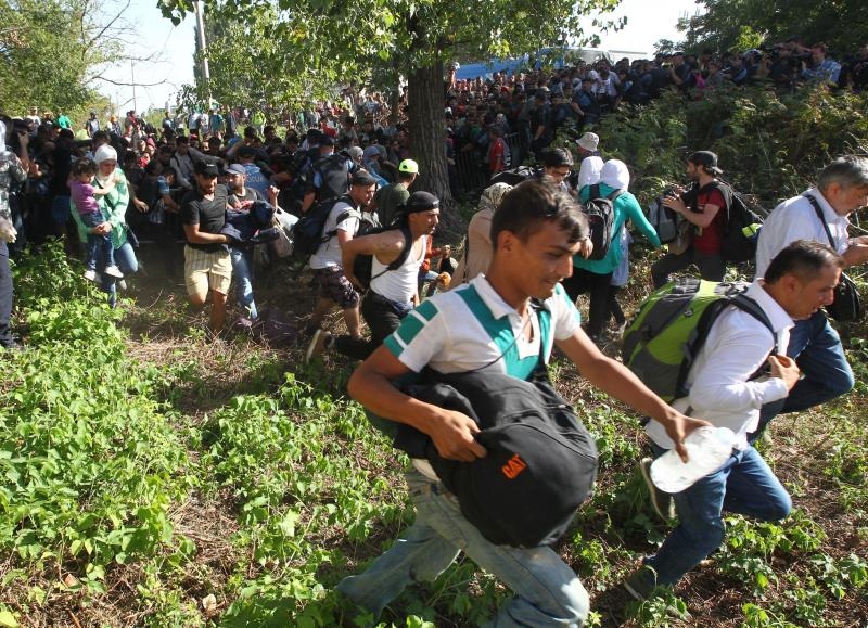 Foto: Zeljko Lukunic/PIXSELL