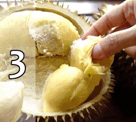 TOP 10 proizvoda za mršavljenje