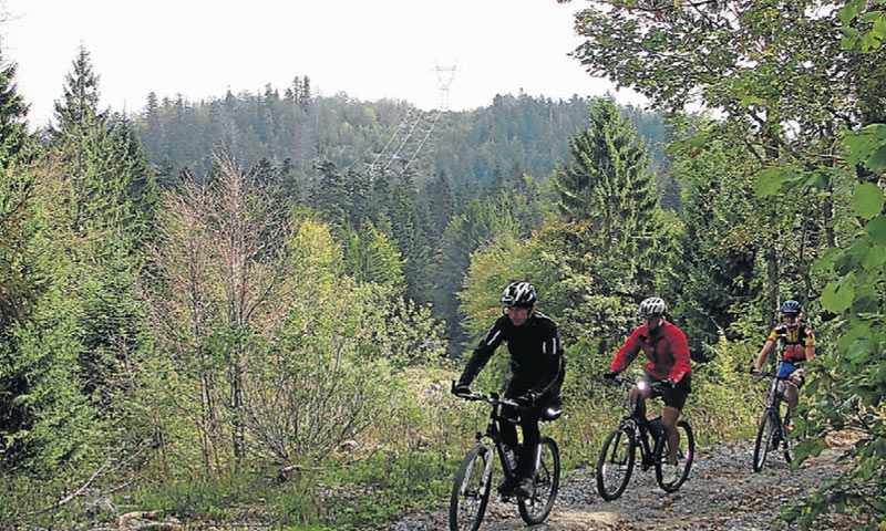 Kroz zaštićena područja Gorskog Kotara prolaze biciklističke staze/Turistička zajednica Kvarnera