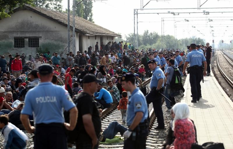 Foto: Željko Lukunić / Pixsell