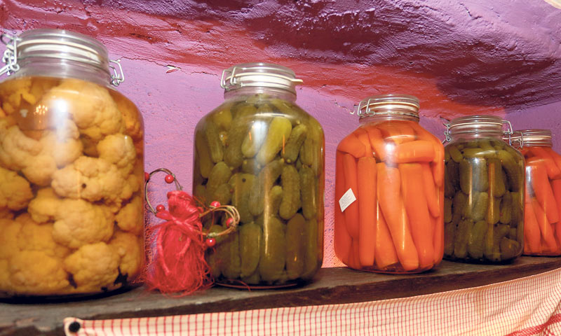 Domaće povrće//Marko Mrkonjić/PIXSELL