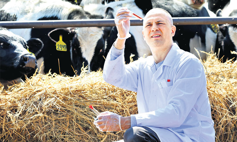 Kakvoća otkupljenog mlijeka u prosjeku je iznosila oko 96 posto/FOTOLIA