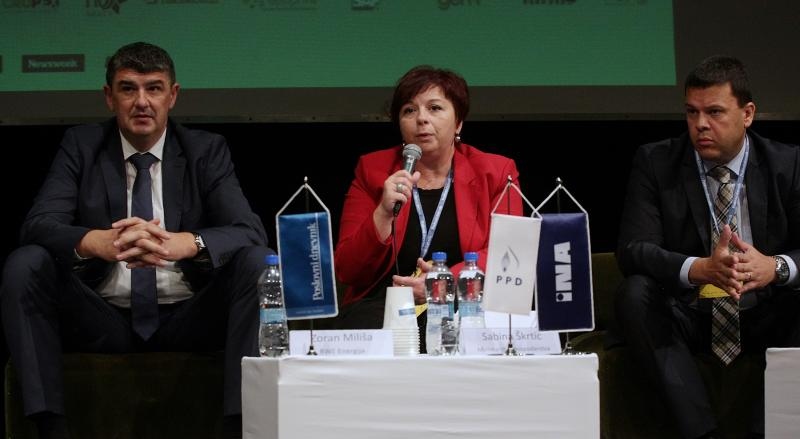 Foto: Žarko Bašić / Pixsell