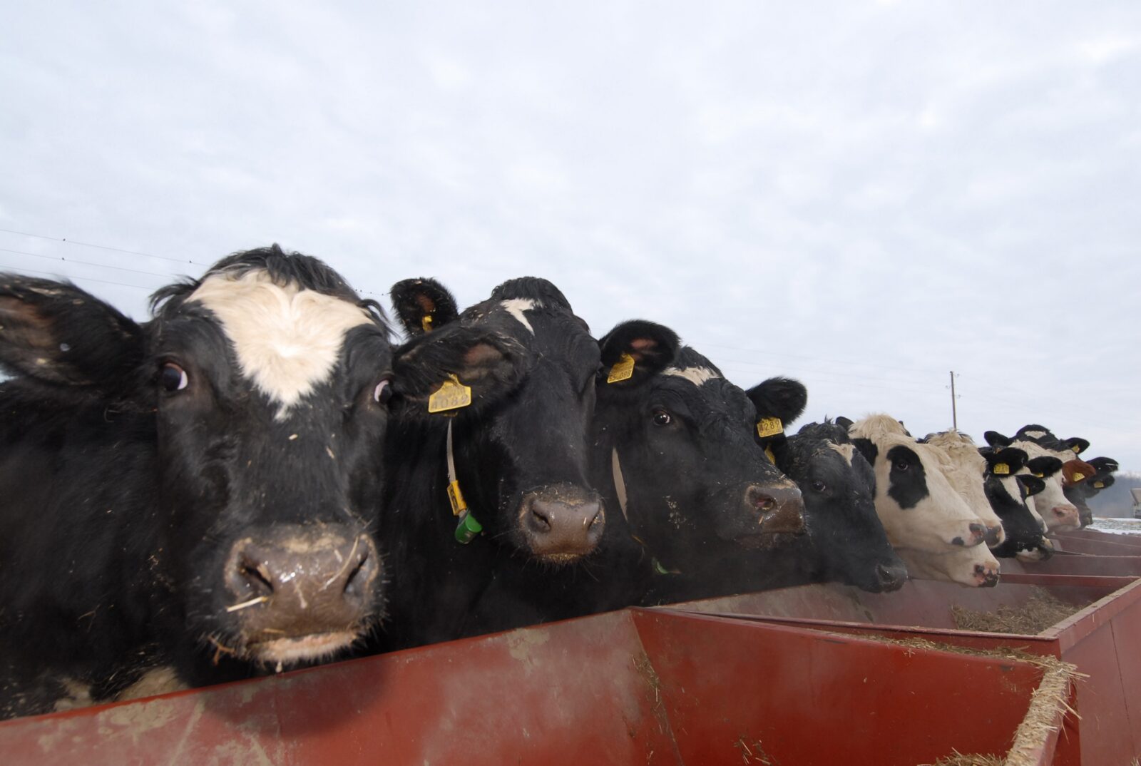 Photo: Damir Spehar/PIXSELL