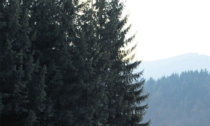 150 milijuna kuna investirano je u kupnju i modernizaciju Drvne industrije Vrbovsko