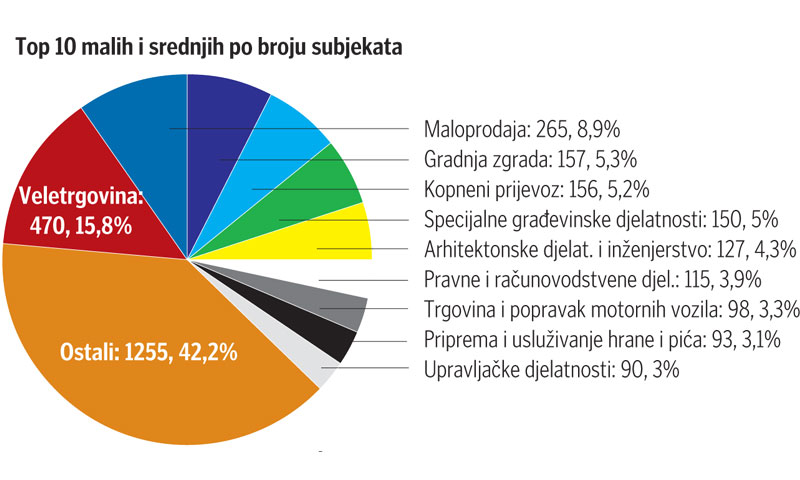 Top 10 malih i srednjih po broju subjekata