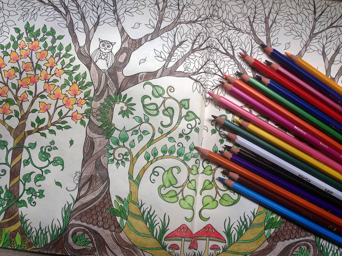 Riješite se stresa uz svjetski hit – bojanke za odrasle