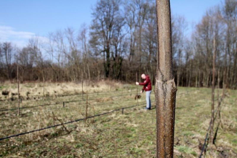 Foto: Vjeran Zganec-Rogulja/PIXSELL