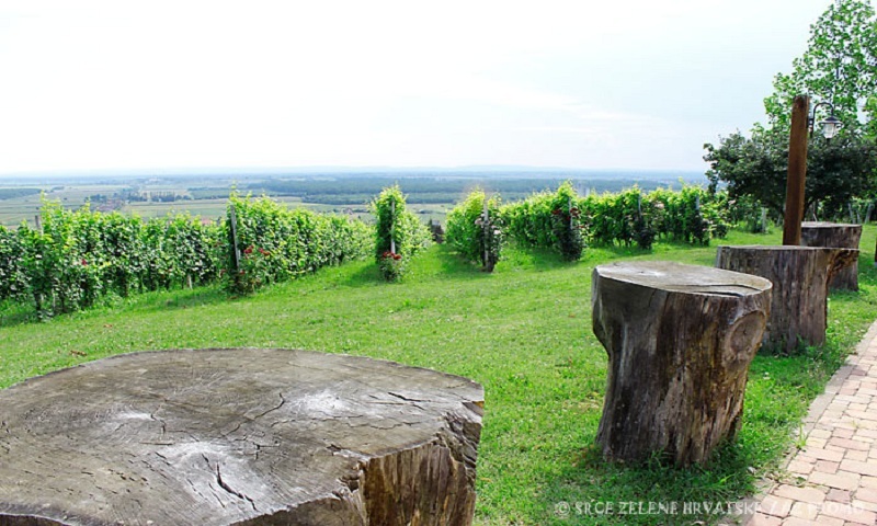 Obiteljsko poljoprivredno gospodartsvo Tušek