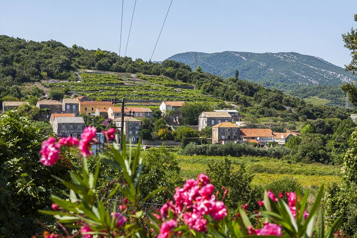 Janjina, Boris Jović