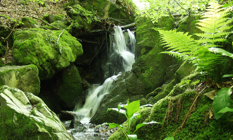 Park prirode Papuk posjetiteljima pruža brojne mogućnosti aktivnog turizma