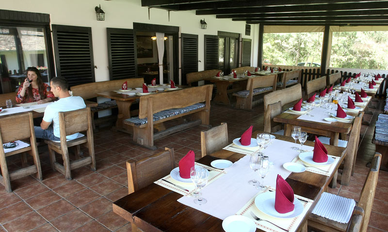 Kormoran se otkriva kao izniman gotovo fantastičan ambijent/Davor Javrović/PIXSELL