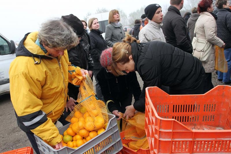 Foto: Vjeran Žganec Rogulja / Pixsell