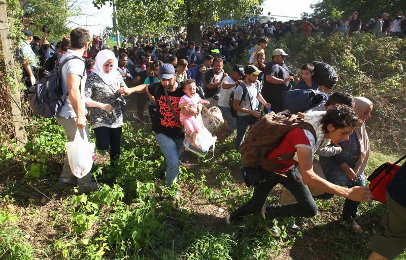 Foto: Zeljko Lukunic/PIXSELL