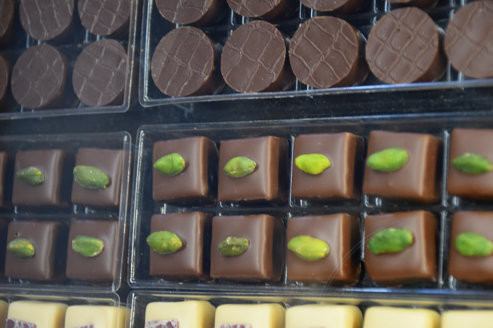 Foto: Morana Begač / Agrobiz