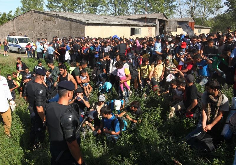 Foto: Zeljko Lukunic/PIXSELL