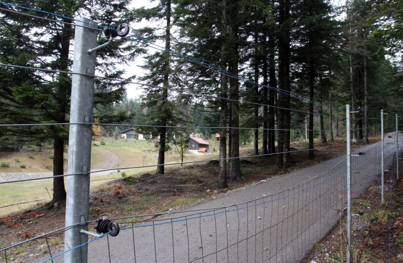 Skrad - Pred imanjem Nadana Vidoševića u šumi kraj sela Hlevci u Gorskom kotaru dežuraju policija i