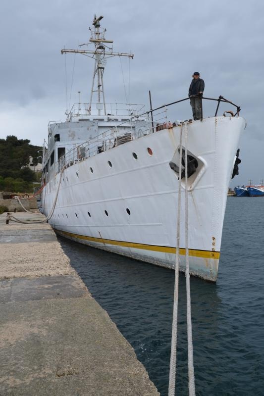 Foto: Duško Marušić / Pixsell