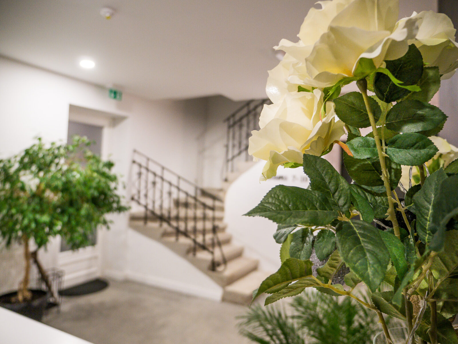 Interijer hostela Casablanca, Miran Kramar