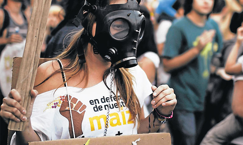 Nismo učinili dovoljno za zaštitu domaćih sorti, imamo samo nekoliko registriranih vrsta