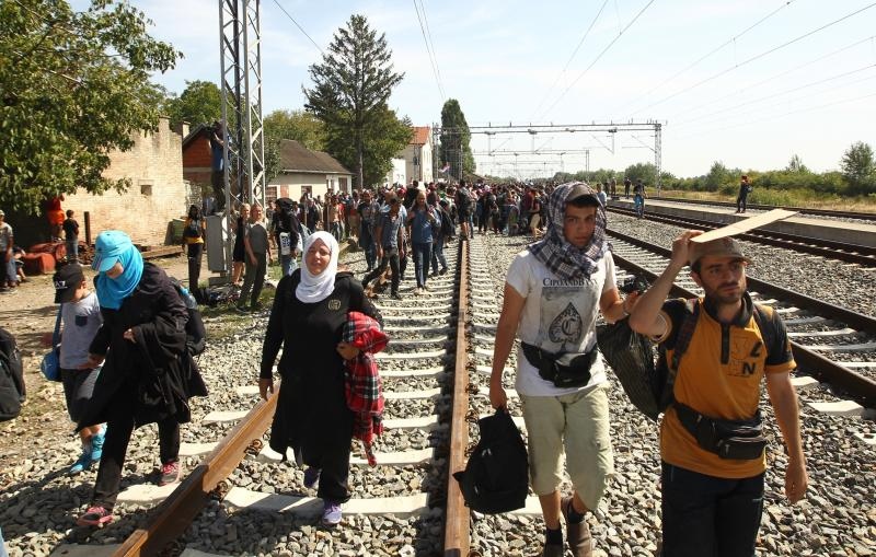 Foto: Zeljko Lukunic/PIXSELL