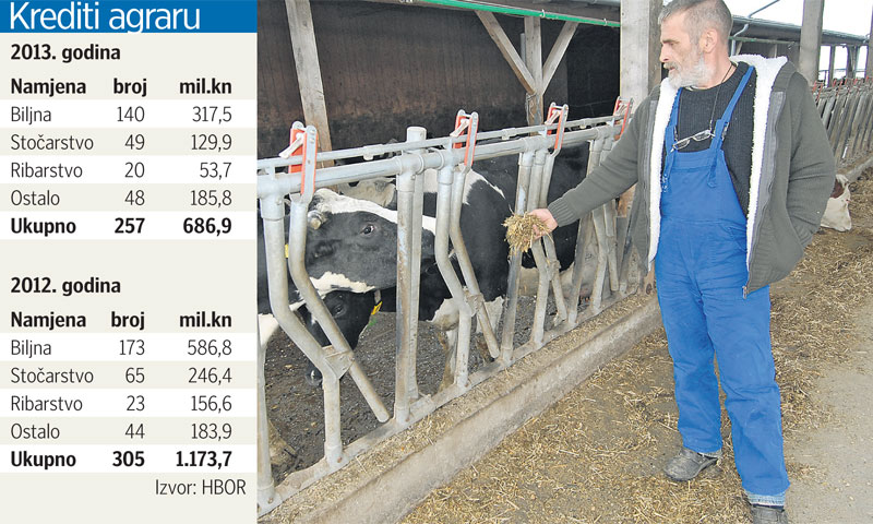 Šolčićeva farma vrijedi 20 milijuna kuna i s novim junicama ima 600 grla/Damir Špehar/PIXSELL