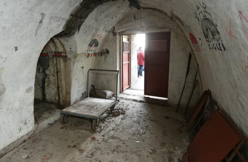 Foto: Željko Lukunić / Pixsell