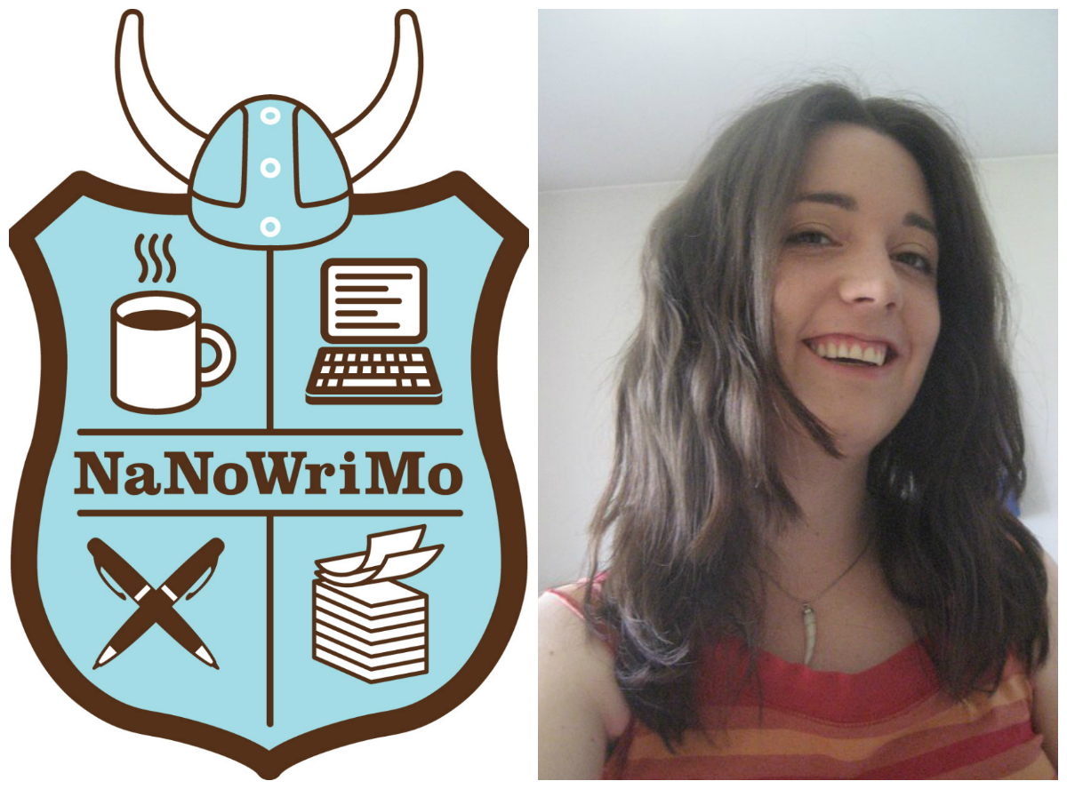 NaNoWriMo logo / Ivana Delač (Foto: Privatni album)