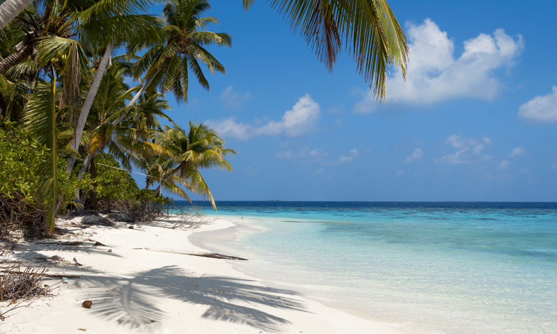 Ponuda je pristigla preko sustava regulatora SEC-a od tvrtke registrirane na teritoriju Britanskog I