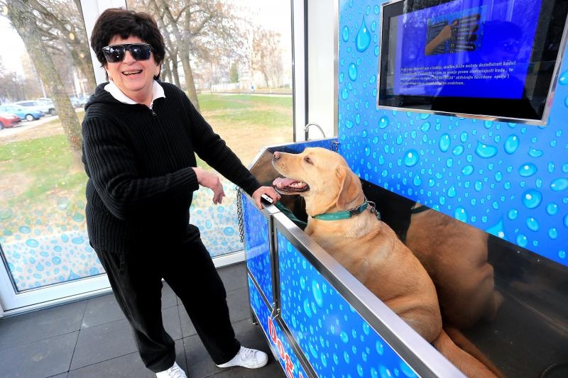 Foto: Davor Javorović / Pixsell