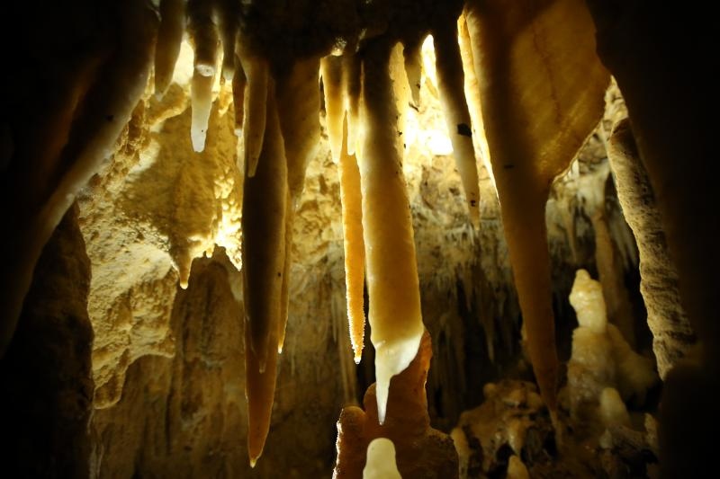 Foto: Robert Anic/PIXSELL