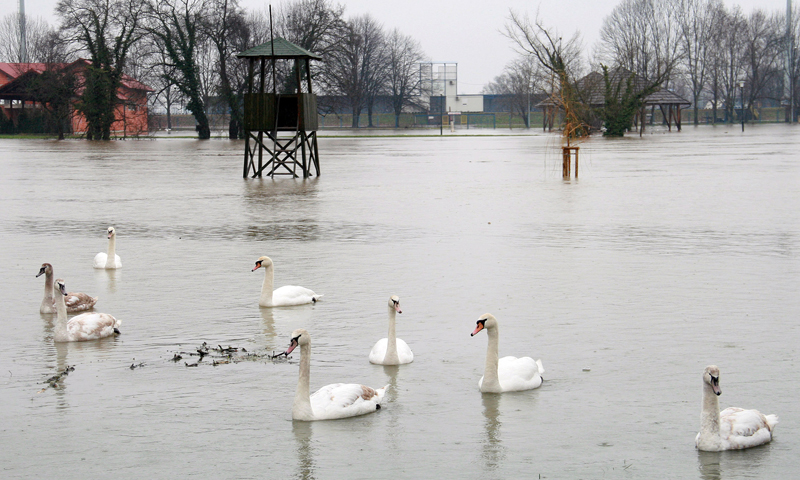 Karlovac – Dominik Grgurić/PIXSELL