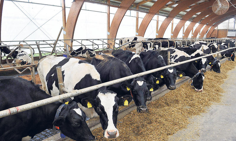 Glavnina ulaganja odnosi se na stočarstvo